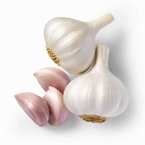 Fresh Organics Snow Mountain Garlic